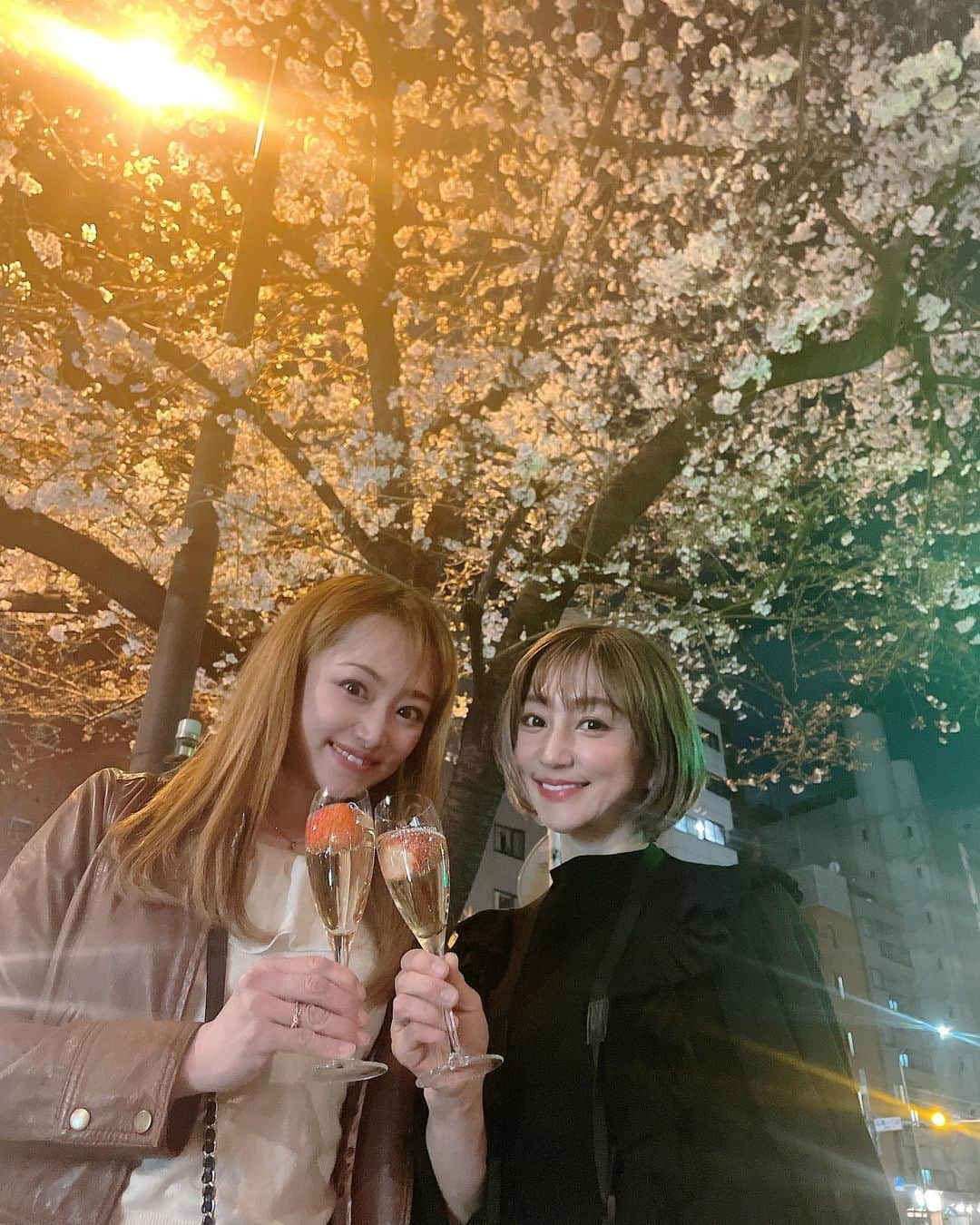 葵ゆりかのインスタグラム：「今年も明治通り沿いの桜が綺麗🌸✨ あゆちゃんと🥂💕 片側はけっこう咲いてて、反対側はあんまり咲いてない🙃 今週けっこう雨予報だけど、まだ散らないでー🌸  #🌸　#桜　#お花見　#桜スポット #cherryblossom #明治通り#東京　#tokyo #🥂」