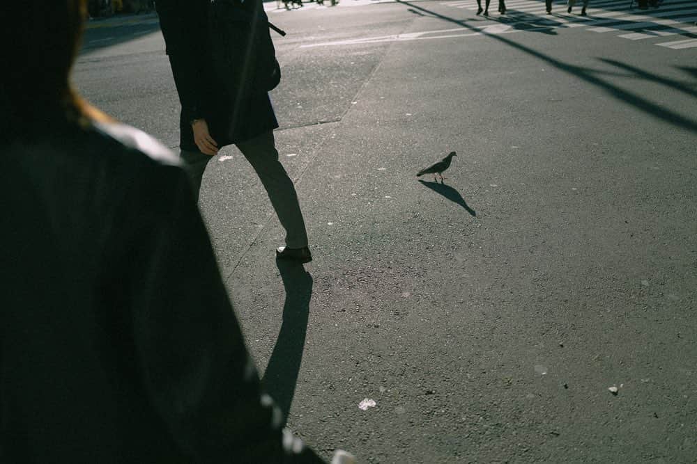 芋生悠のインスタグラム：「Scenery seen by sis.  📷 @yamada_suzuka」