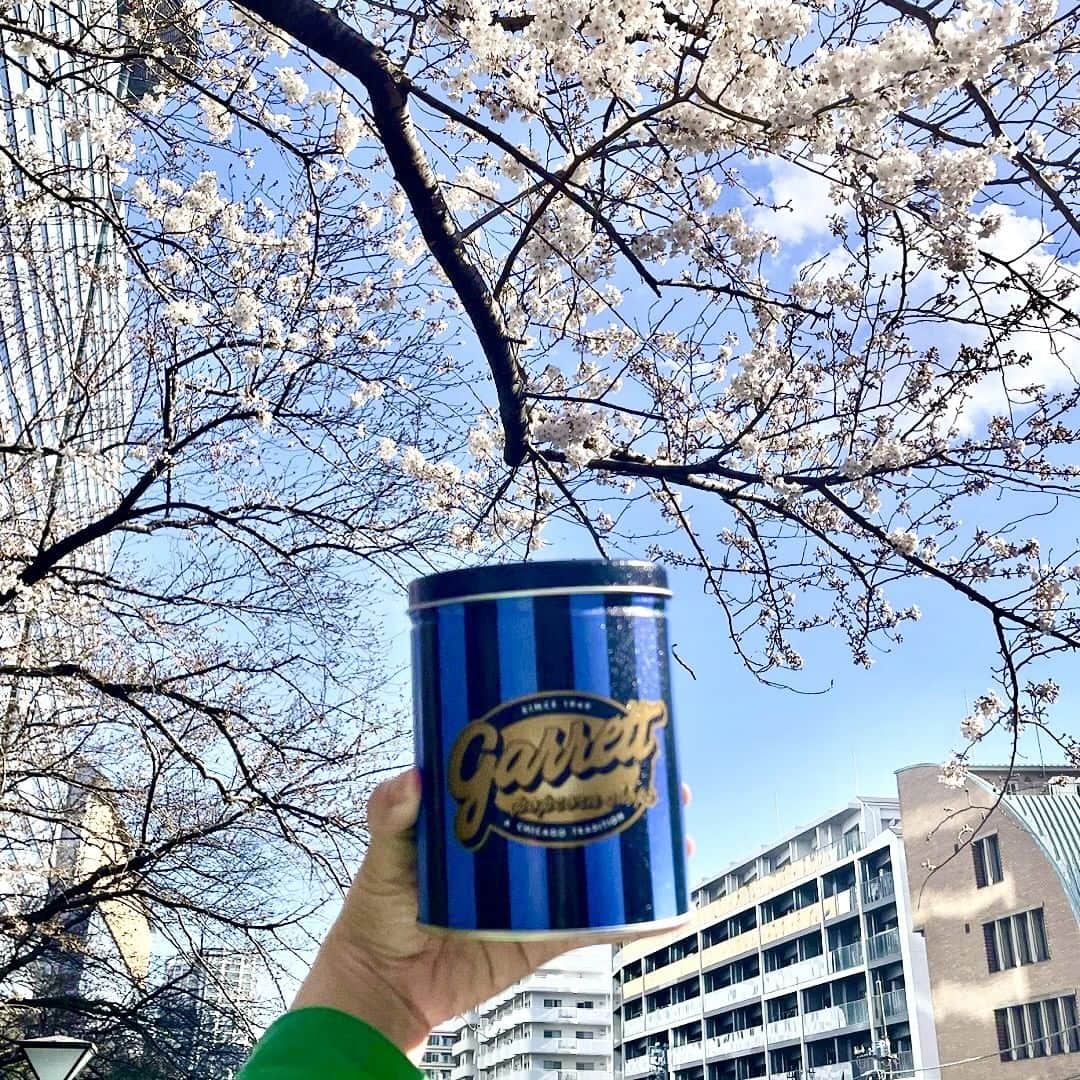 のインスタグラム：「. 春らしいポカポカ陽気となり、桜も満開まであと少し🌸 お花見や春のお出かけのお供にいかがですか？  #garrett #garrettpopcorn #garrettjp #popcorn #ギャレット #ギャレットポップコーン #ギャレットポップコーンショップス #ポップコーン #原宿 #酒々井プレミアムアウトレット #名古屋  #南町田グランベリーパーク #土岐プレミアムアウトレット #岡崎」