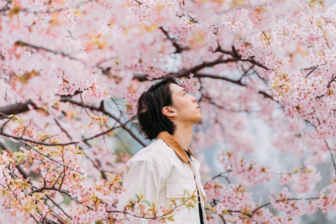 榿澤涼太さんのインスタグラム写真 - (榿澤涼太Instagram)「. 桜が咲き始めてきたら、 また思いっきり桜の撮影がしたい🌸」3月20日 18時18分 - hannokizawadesu