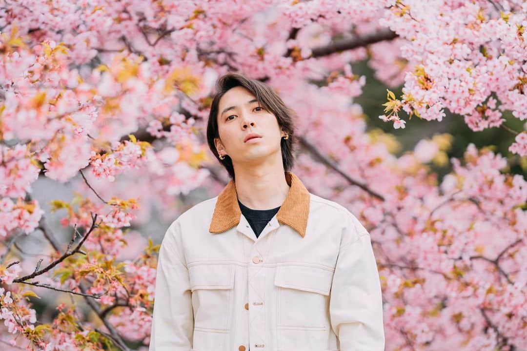 榿澤涼太のインスタグラム：「. 桜が咲き始めてきたら、 また思いっきり桜の撮影がしたい🌸」