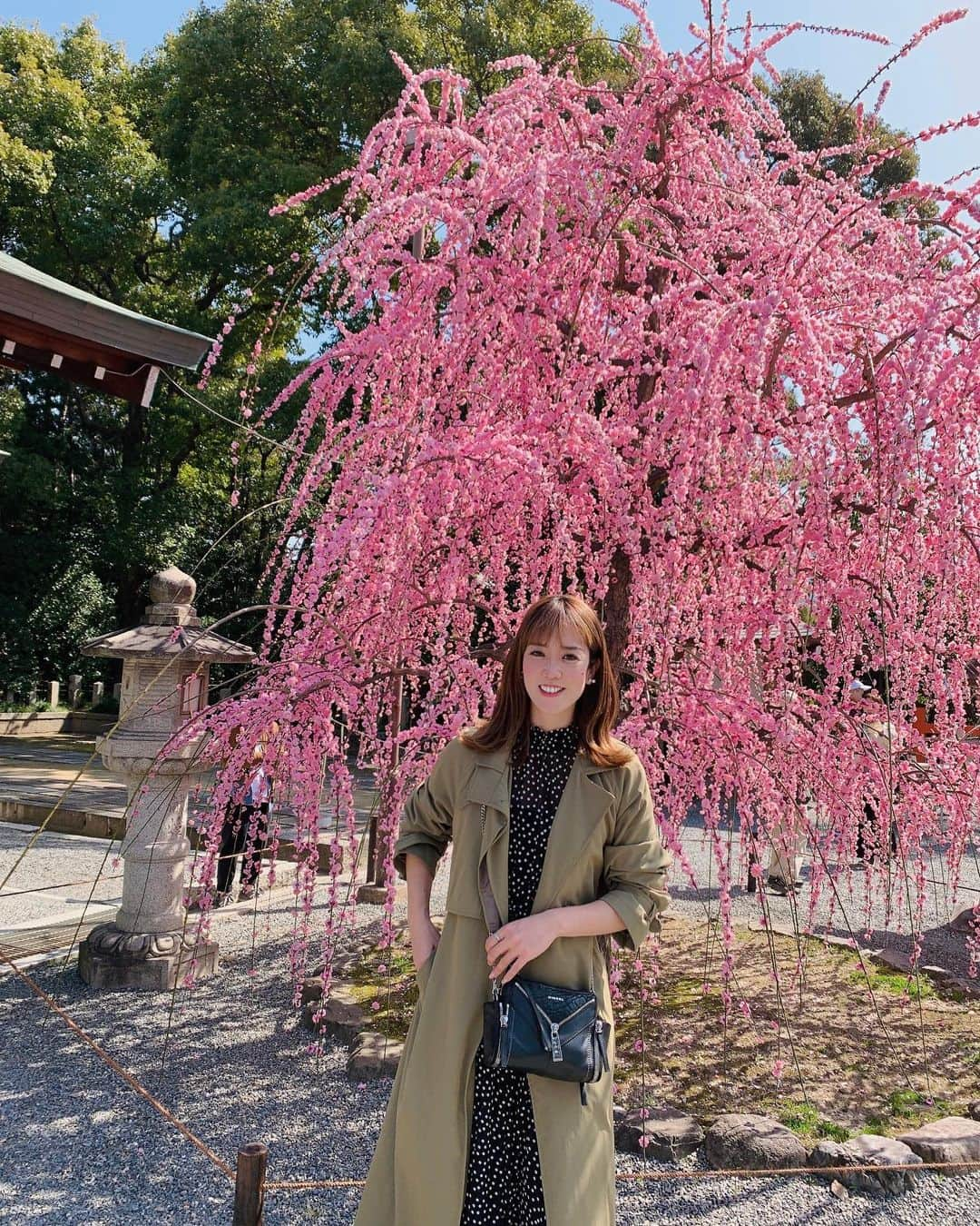 MariIryuさんのインスタグラム写真 - (MariIryuInstagram)「📍城南宮  #城南宮 #城南宮しだれ梅 #しだれ梅 #しだれ梅と椿まつり #京都 #plumtree #kyoto #kyotojapan #花見 #満開 #春 #春ですね」3月20日 18時29分 - marty2367