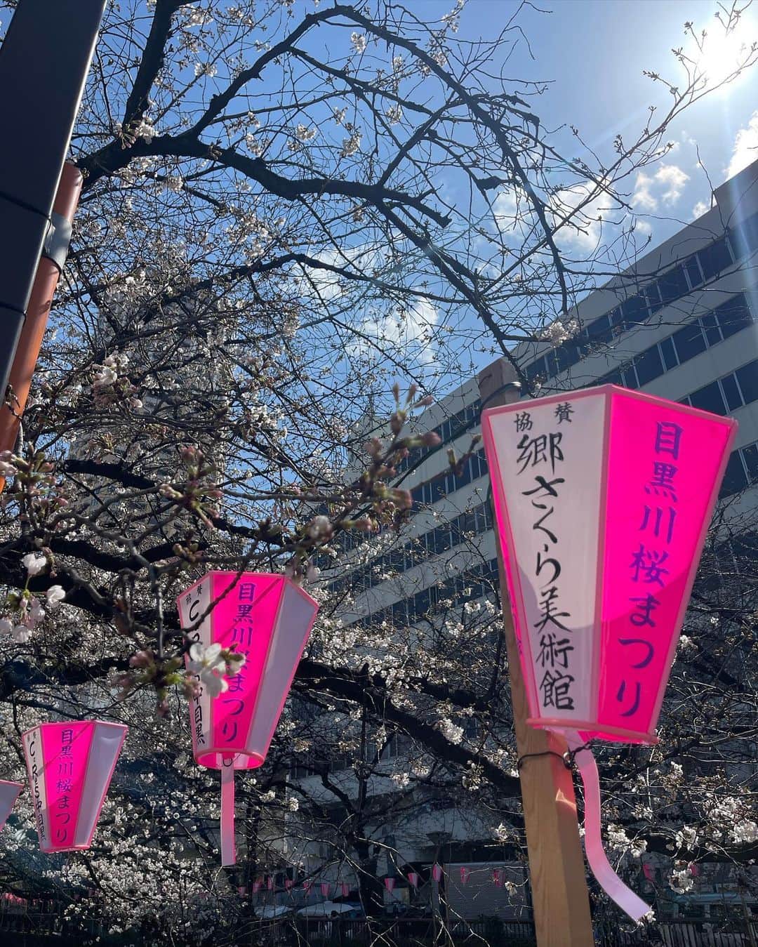 吉井香奈恵さんのインスタグラム写真 - (吉井香奈恵Instagram)「今の季節大好き🌸🍒 桜満開までもう少し〜今年は早いね〜  #桜 #さくら #sakura #tokyo  #cherryblossom」3月20日 18時56分 - yoshiikanae