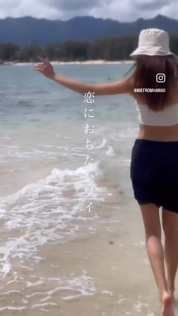 Mieのインスタグラム：「みなさま🥹✨ あたたかいお言葉をありがとうございます🙏 みんなにいつも元気と活力いただいてます🥹💚  ハワイに恋におちた皆様が沢山の時間を過ごす大切な帰る場所（ホーム）を一緒に探したり、心落ちつくインテリアを考えたり、愛着のあるお家を売るお手伝いができる事、、、とても幸せです✨  これからも宜しくお願い致します🤍  #ハワイ #hawaiilife  #ハワイ不動産 #ハワイ不動産エージェント  #インテリアデザイン #ハワイに住みたい  #お手伝いさせていただきます  #🌺」