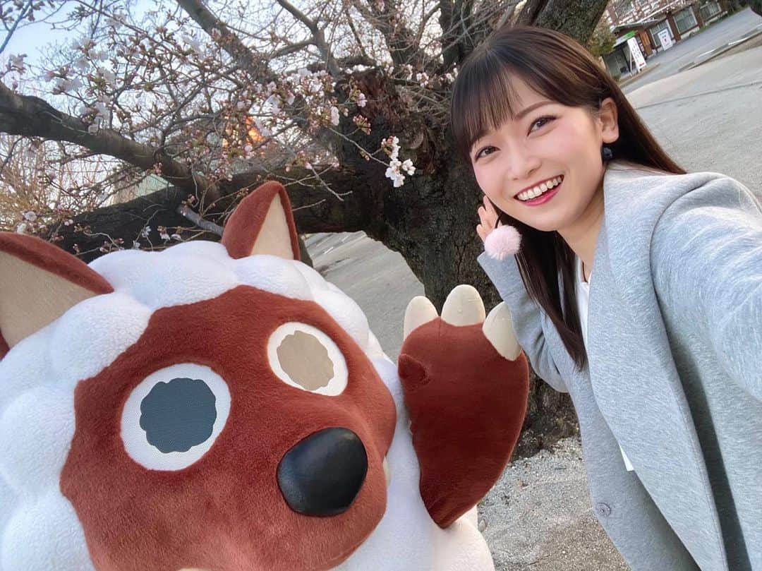 のインスタグラム：「まだ一分咲きくらい🐑 今週の天気コーナーはソメイヨシノが咲き始めた#東別院 からお伝えします🌸  今週後半には見頃を迎えるということで、週末の#サクラベツイン の頃にはほぼ満開なのでは？！ みなさんぜひお越しください☻  🌸サクラベツイン🌸 3/25(土)＆26(日) メ〜テレ本社屋・東別院境内 詳しくはドデスカ！InstagramのハイライトからサクラベツインHPをご覧ください.  #ウルフィ #メーテレアナウンサー #南雲穂波 #なぐもぐもぐ」
