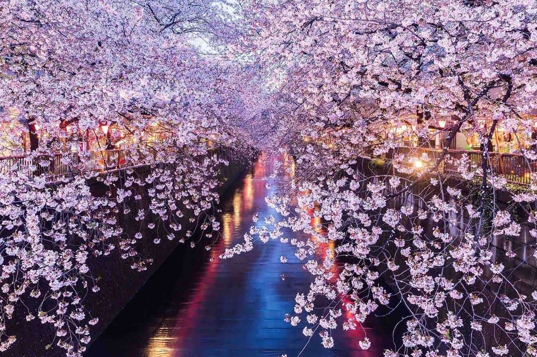 THE WESTIN TOKYO | ウェスティンホテル東京のインスタグラム