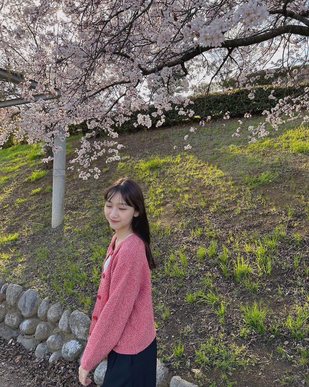杉本愛里さんのインスタグラム写真 - (杉本愛里Instagram)「桜咲いてた🌸」3月20日 20時10分 - 12_airiyade_21