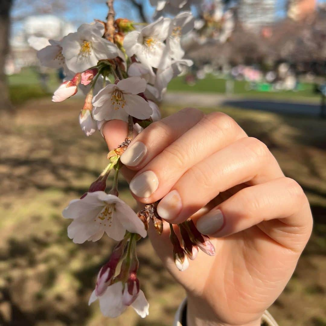 齊藤美沙貴のインスタグラム：「久々のお休み🌸 ネイル変えてきた🥰💕  帰りに近くの公園覗いたら、 お花見してるひとたくさんいたなあ🍡  #シンプルネイル#ネイルアート #オフィスネイル#桜#お花見#blossom」