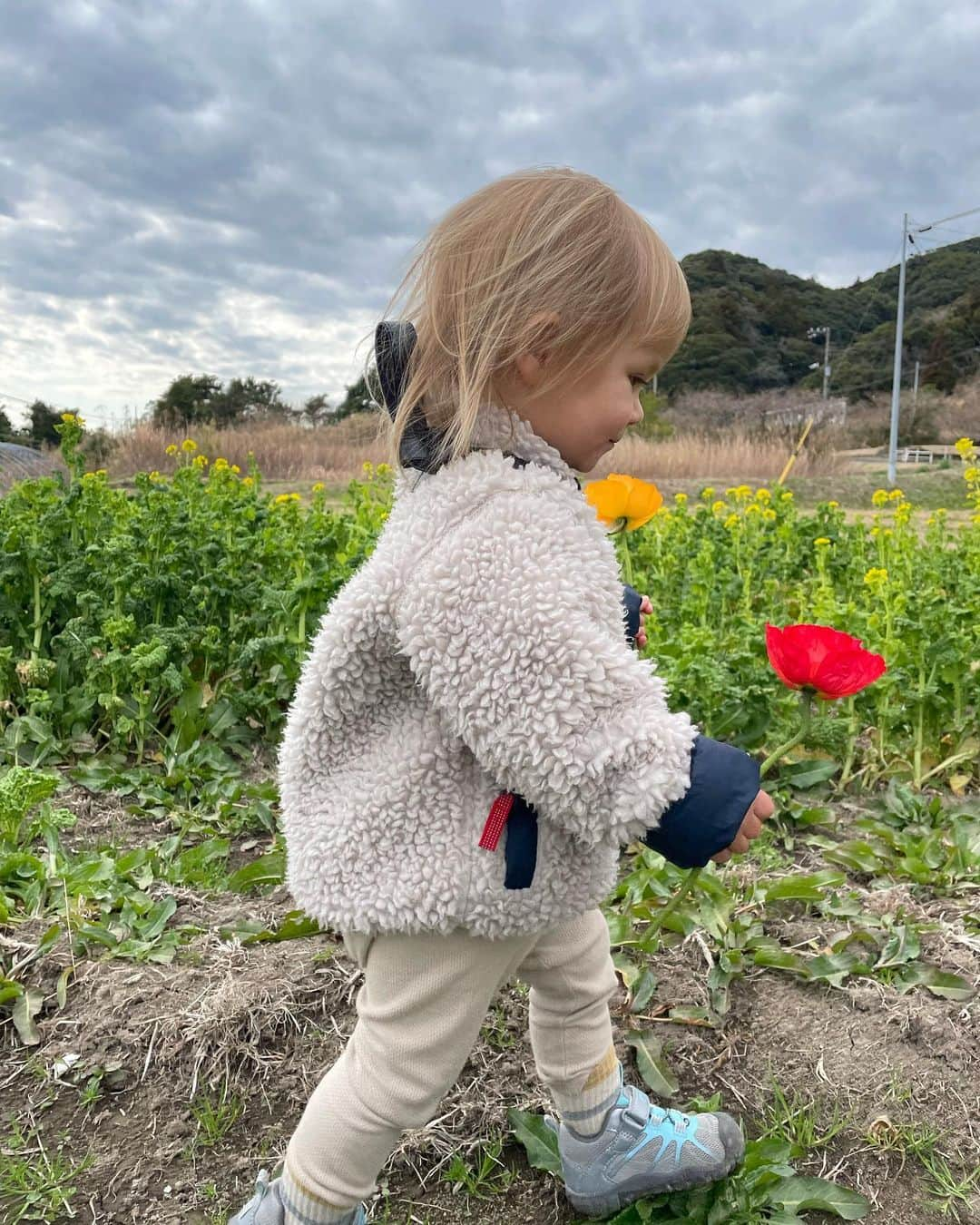 すみれ・ソフィさんのインスタグラム写真 - (すみれ・ソフィInstagram)「Mia in Japan 🐻」3月20日 20時34分 - sofii_sumii