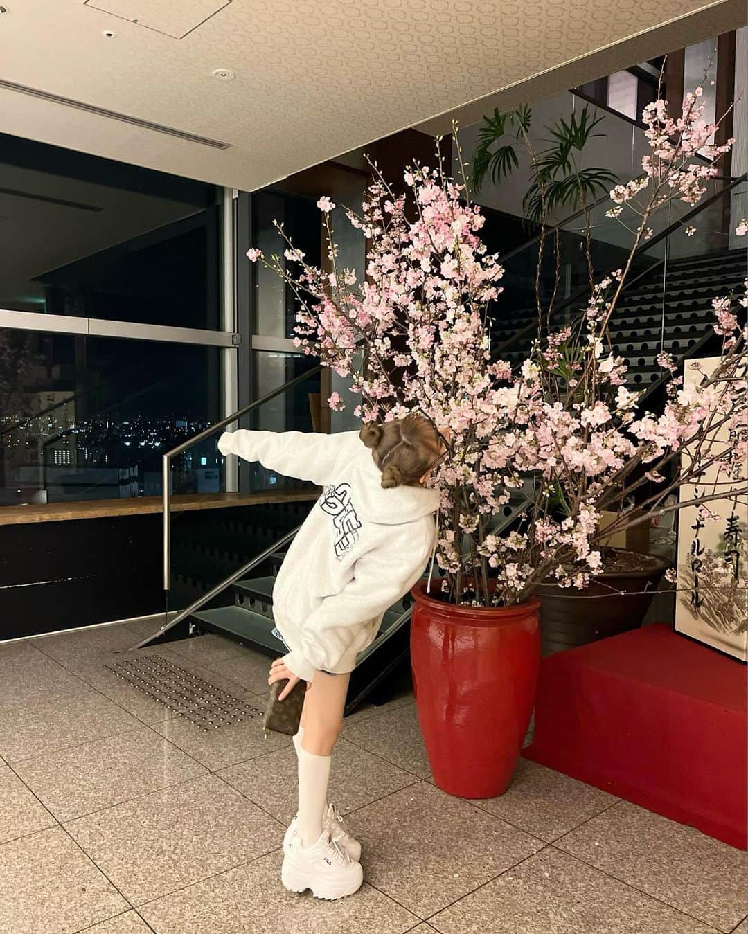 石綿日向子さんのインスタグラム写真 - (石綿日向子Instagram)「👧🏼🇰🇷🌸🧸 お花見中のテディベア」3月20日 20時27分 - hinako_ishiwata
