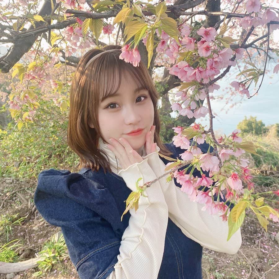 古森結衣のインスタグラム：「いちばん好きな季節🌸」