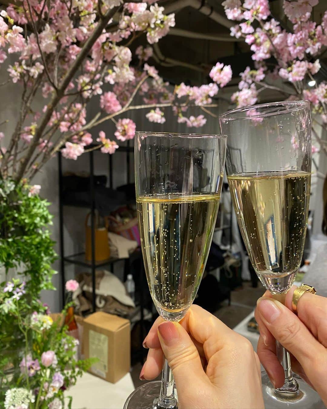 芦田桂子さんのインスタグラム写真 - (芦田桂子Instagram)「昨夜は日本とパリで活躍するフローリスト谷口さん @atsushi_taniguchi のお店 アイロニーで3年ぶりのお花見でした🌸  @jardinduillony   満開の桜と数々の鮮やかなお花を愛でながら💐 たこ焼きやみんな持ち寄ったりでワイワイ賑やかにカンパーイ🥂  ヘアメイクのむろんさん @hairmake_muro369 に 昭和なポニーテールと赤リップ塗ってもらって  #今日から俺は style ドレスコードのイカジャージで #ナイトダンサー を踊ったよ🦑😆笑  贅沢にもカメラマンのアニさん @watanabeani が 屋外に用意してくれた黒バックでパシャリ📸 皆それぞれいい写真が撮れました✨  やっとコロナが開けて今までの生活が戻ってきたね！ とーってもステキなお花見企画をしてくれたタニコ ありがとう〜😊🌸  #アイロニー #お花見2023 #🌸 #🥂  #楽しすぎる時間  #ありがとう😊  #次回はダンスの精度を上げて挑みます #model #芦田桂子」3月20日 20時44分 - keiko_ashida