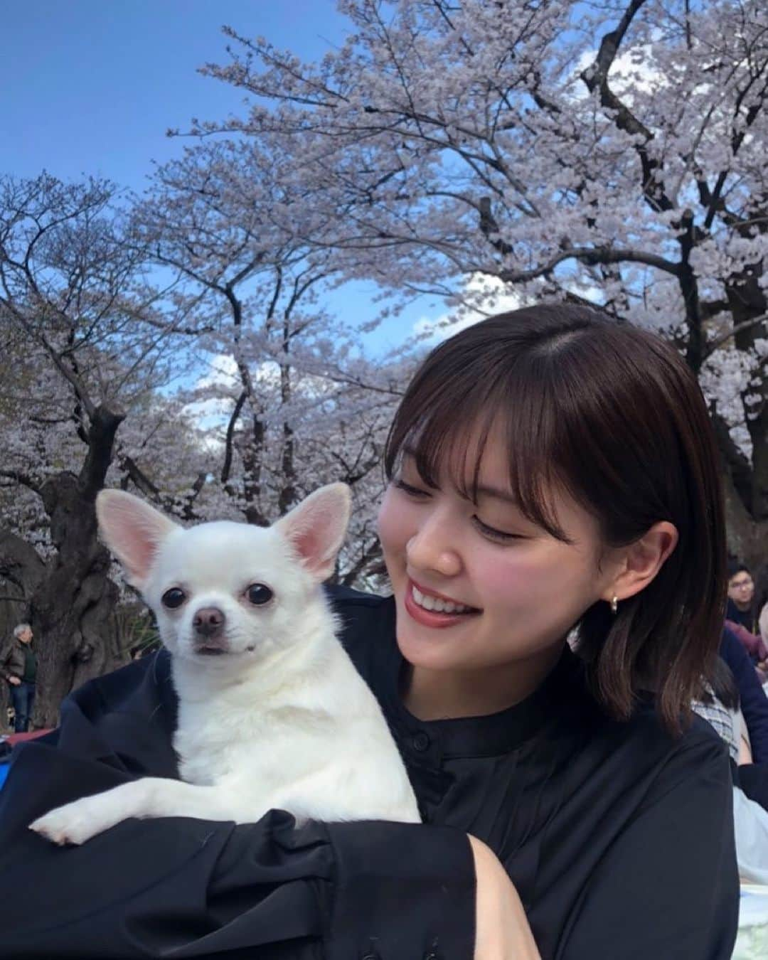 松元絵里花のインスタグラム：「* 久しぶりのお花見🌸 ピノちゃん連れては初めて🐶 気持ちのいい気候のうちに またピクニックしたいな🍀 #お花見#桜 #ピノちゃん」