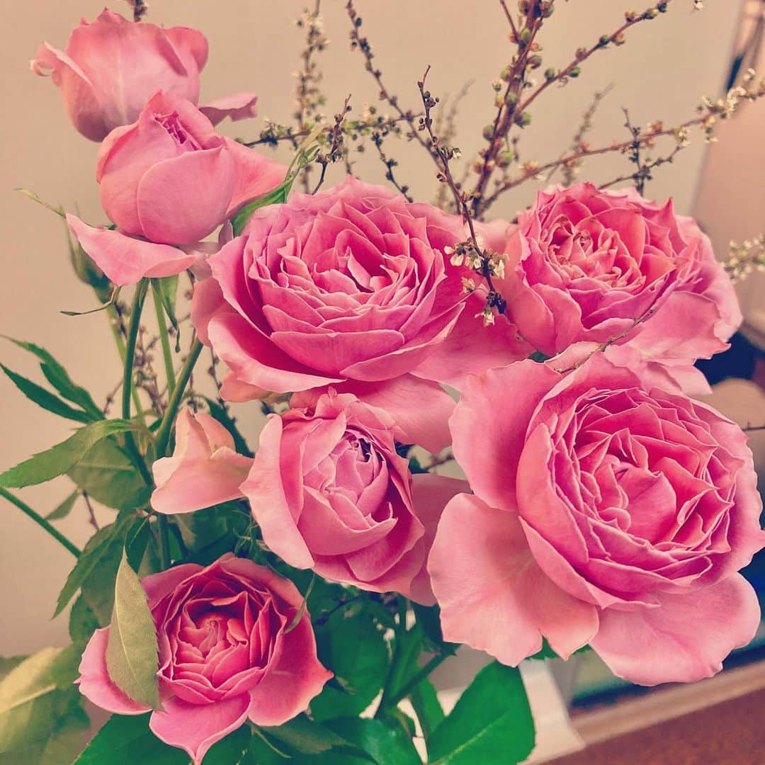 佐藤みゆきのインスタグラム：「ホワイトデーに夫氏が買ってきてくれたお花が綺麗。いつものお花屋さんで少し奮発して買ってきてくれたお花。 私の今の役名はロズモンド、愛称ローズ。夫氏も意図してないし、私も遅れて気がついたけど、なんだか嬉しい偶然。」