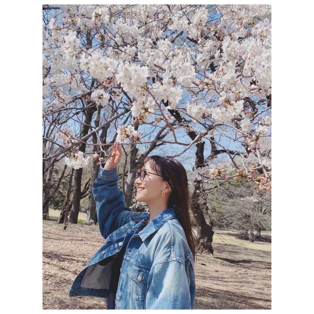 大塚愛さんのインスタグラム写真 - (大塚愛Instagram)「春だねぇ。  AIO　#春 #桜 #花粉 #団子 #食べたい」3月20日 21時32分 - aiotsuka_official