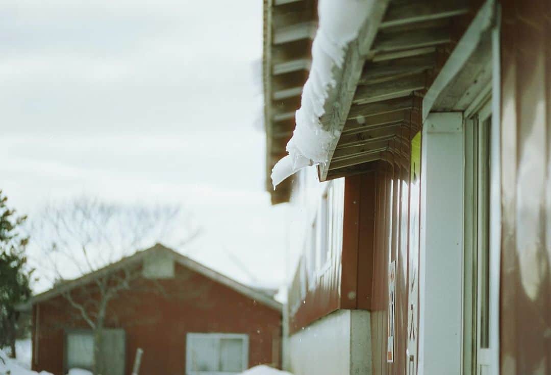 小林美季さんのインスタグラム写真 - (小林美季Instagram)「ありがとう にかほの冬❄️  皆さんの住むまちは さくら咲いていますか？*」3月20日 21時38分 - miki_66v