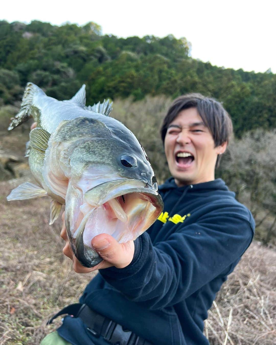 のインスタグラム：「『フォグショットTC』 ライトリグでのマス針はこれ✨ 細軸フックは、根がかり後や釣った後など特に針先死んでないか確認要です！ 🎲推奨4番だったと思いますが僕は3番使ってます🙋‍♂️逃してワームズレても掛かりやすい。  @ryugijapan ええやんかぁ‼️  それにしてもええ写真。 さんきゅー📸 Photo by @t_m.zakky   #アングラーズ #アングラーズマイスター #Megabass #メガバス #ryugi #リュウギ  #x_metal #bigfish1983 #bigfish #hungrybear #glitchoil #fishing #bassfishing #釣り #バス釣り #バスフィッシング #lurefishing #happy #淀川番長 #ええやんかぁ #ええやんかぁの輪」