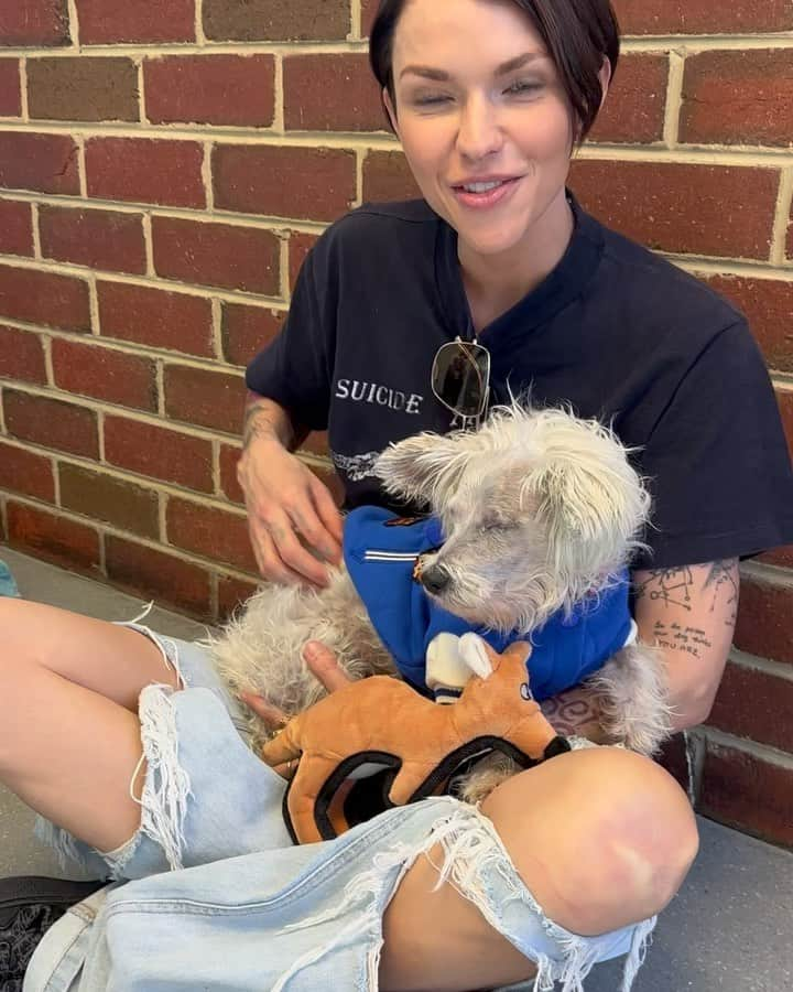 ルビー・ローズのインスタグラム：「UPDATE : ADOPTED!!!! But there are still, so many, beautiful dogs needing forever homes at the @lostdogshome - please visit or check the website.   Chloe needs a forever home. ( I very much wish it was with me ) Chloe is one of the most impressive, sweet and brilliant dogs I’ve met. She deserves the most beautiful, kind and loving owner. Having needed to have both her eyes removed due to untreated infections left for years, she needs someone who is at home more than not. Someone who works from home, or is retired. She will find toys, run and chase them, snuggle and just genuinely change your life upon meeting. Chloe is just one of the many dogs and cats up for adoption at @lostdogshome . Right now. Please check out their page and website for more information. And please spread the word about these pups.」