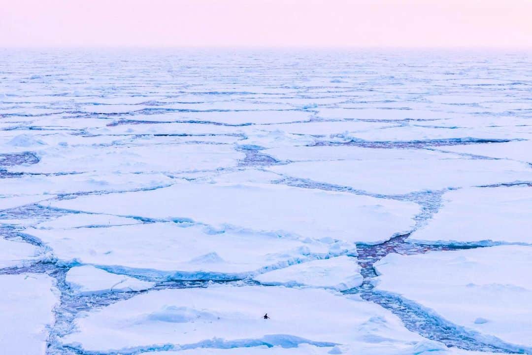 上田優紀さんのインスタグラム写真 - (上田優紀Instagram)「南極」3月21日 9時08分 - photographer_yukiueda