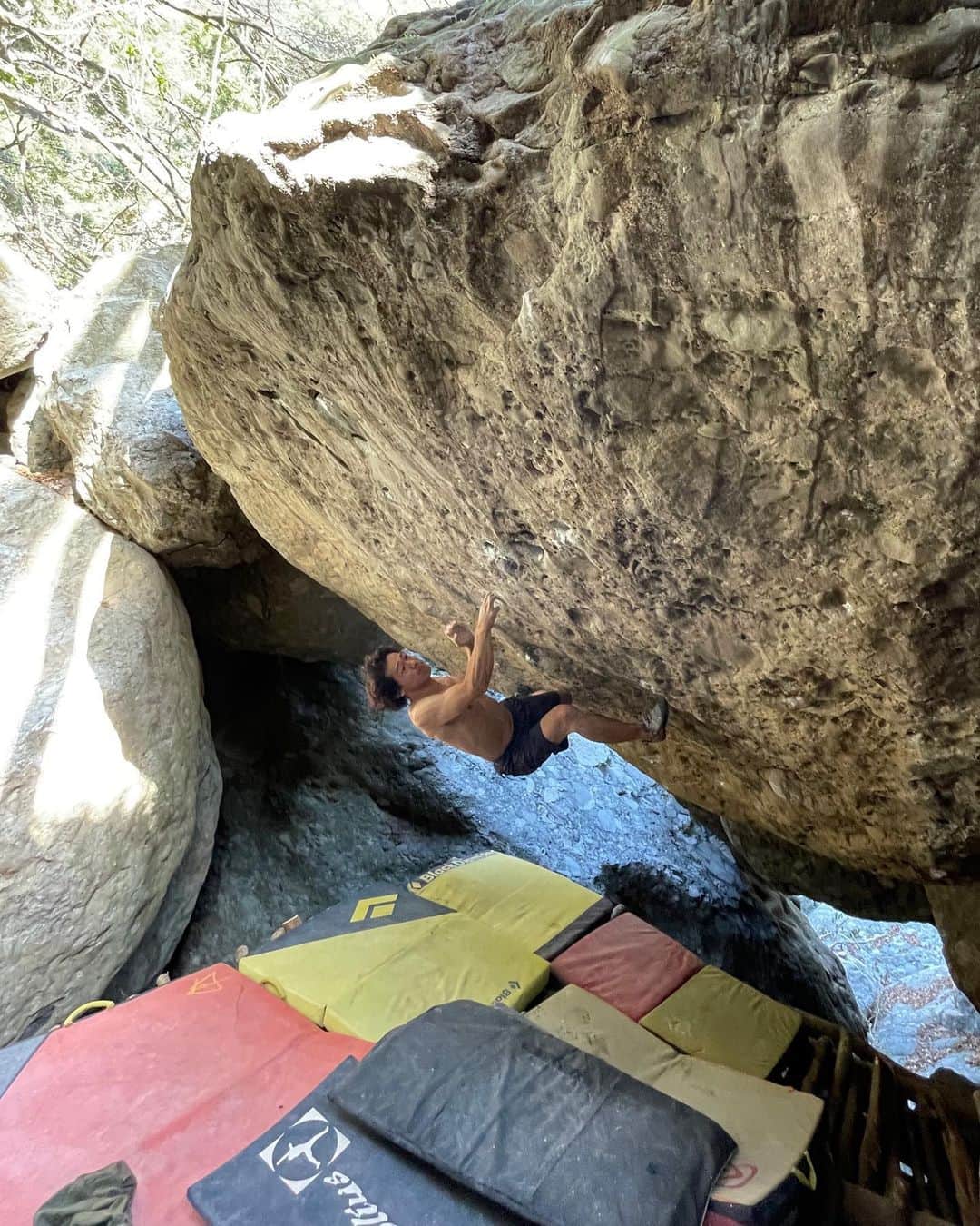 小山田大さんのインスタグラム写真 - (小山田大Instagram)「昨日、日之影の開拓地でトライを続けていた通称足場プロジェクトをついに登る事が出来た。  このプロジェクトのある岩は去年の春くらいにはその存在を確認していた。 狭いゴルジュの中に大きな岩が幾重にも積み重なり洞窟を形成しているその行き詰まりに鎮座する巨大なチョックストーン。 そのチョックストーンの裏側は１５０度に前傾した美しい壁になっており、顕著なスタートからリップまで奇跡的にホールドが繋がっていた。 文句の付けようがない素晴らしい壁だ、ただ一つだけ欠点があった。 地面が無い、ランディングが無かったのである。 ボルダーとして登るには致命的とも言える欠点にその時はただ素晴らしい壁を前に指をくわえて見る他無かった。  去年の秋から開始した九州ツアーではこの岩のあるエリアを公開する予定もあり、集中して開拓する事になった。 いくつかのハードなプロジェクトも完成させ、諦めていたチョックストーンのラインが気になった。 何とかして登れないかと考察した結果、足場を組みランディングを作ればボルダーとして登る事が可能なのではないかとの結論に達した。 ただ、一人ではどうしようも無い作業量が必要に思えた。 そこで、日之影ボルダーの清川さんに相談したところ「やりましょう！」との返事を頂けた。 雪の降る氷点下の中、丸々二日間作業に費やし、なんとか七割方完成させた。 大変な作業だったと思う。 清川さんには感謝してもしきれない。 その後、三日間程一人で作業を続け、なんとか登れる状態まで仕上げた。 こうして、このラインをトライ出来る様になったのである。  しかし、ランディングを作ってトライ出来るようになったにも関わらず、なかなかこのプロジェクトに足が向かなかった。 いくつかの理由があったが、一番の理由はもしもムーブが出来なかったら、という恐れだった。 だから、トライ初日は緊張した。 その日、一番懸念していた下部の浅い二本指からのランジに成功し、このラインが現実的なものになった。 ほぼ全てのホールドがポケットで構成されているこのプロジェクトは指の痛みとの闘いでもあった。 最初の頃は指の脇の皮がすぐに剥けてあまりトライ出来なかったのだが、最終的には硬く変化していた。 昔、ポケットを集中してやっていた頃の感覚を思い出し、懐かしんだ。 このプロジェクトはトライする度にその奇跡とも思えるホールドの配置とムーブに感動した。 そして、このラインとやり合えるだけの体力が自分に残っていた、そのタイミングでのこの岩との巡り合わせに感謝した。  登れた日は、最初のムーブのチェック段階で完登を予感した。 数回のトライで今までの最高高度に達するも、気負いからかその後ランジが止まらなくなり、諦めかけた頃に気持ちが軽くなった。 ランジが止まり、その後は気合いで繋げた。 最後まで悪かった。 岩の上に立った時に、長い間忘れていたような大きな喜びを感じた。 生涯、最高傑作の一本だろう。  このプロジェクトとは良い時間を過ごせた。 岩は硬くインナーホールドで構成されているこのラインは比較的長く後世に残るだろう。 ただし、ランディングは石よりも寿命が短い木で出来ている。 ランディングが腐り無くなった後に、また再び強い情熱を持ったクライマーがこの課題を登る日が来るかどうか、それはまだ解らない。  #日之影ボルダー」3月21日 9時10分 - dai_koyamada