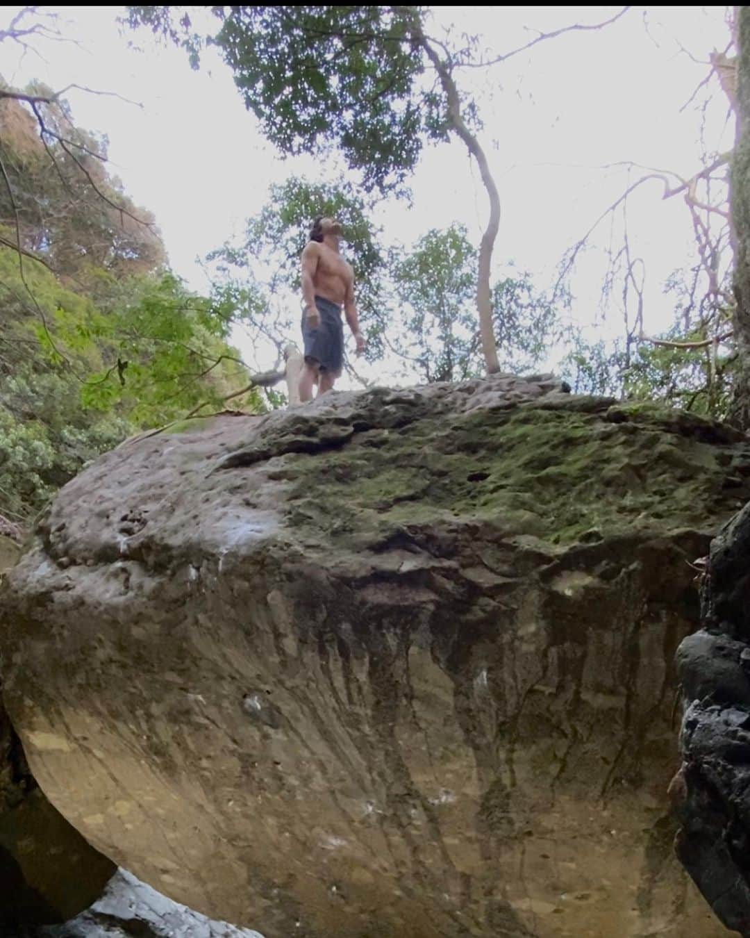 小山田大さんのインスタグラム写真 - (小山田大Instagram)「昨日、日之影の開拓地でトライを続けていた通称足場プロジェクトをついに登る事が出来た。  このプロジェクトのある岩は去年の春くらいにはその存在を確認していた。 狭いゴルジュの中に大きな岩が幾重にも積み重なり洞窟を形成しているその行き詰まりに鎮座する巨大なチョックストーン。 そのチョックストーンの裏側は１５０度に前傾した美しい壁になっており、顕著なスタートからリップまで奇跡的にホールドが繋がっていた。 文句の付けようがない素晴らしい壁だ、ただ一つだけ欠点があった。 地面が無い、ランディングが無かったのである。 ボルダーとして登るには致命的とも言える欠点にその時はただ素晴らしい壁を前に指をくわえて見る他無かった。  去年の秋から開始した九州ツアーではこの岩のあるエリアを公開する予定もあり、集中して開拓する事になった。 いくつかのハードなプロジェクトも完成させ、諦めていたチョックストーンのラインが気になった。 何とかして登れないかと考察した結果、足場を組みランディングを作ればボルダーとして登る事が可能なのではないかとの結論に達した。 ただ、一人ではどうしようも無い作業量が必要に思えた。 そこで、日之影ボルダーの清川さんに相談したところ「やりましょう！」との返事を頂けた。 雪の降る氷点下の中、丸々二日間作業に費やし、なんとか七割方完成させた。 大変な作業だったと思う。 清川さんには感謝してもしきれない。 その後、三日間程一人で作業を続け、なんとか登れる状態まで仕上げた。 こうして、このラインをトライ出来る様になったのである。  しかし、ランディングを作ってトライ出来るようになったにも関わらず、なかなかこのプロジェクトに足が向かなかった。 いくつかの理由があったが、一番の理由はもしもムーブが出来なかったら、という恐れだった。 だから、トライ初日は緊張した。 その日、一番懸念していた下部の浅い二本指からのランジに成功し、このラインが現実的なものになった。 ほぼ全てのホールドがポケットで構成されているこのプロジェクトは指の痛みとの闘いでもあった。 最初の頃は指の脇の皮がすぐに剥けてあまりトライ出来なかったのだが、最終的には硬く変化していた。 昔、ポケットを集中してやっていた頃の感覚を思い出し、懐かしんだ。 このプロジェクトはトライする度にその奇跡とも思えるホールドの配置とムーブに感動した。 そして、このラインとやり合えるだけの体力が自分に残っていた、そのタイミングでのこの岩との巡り合わせに感謝した。  登れた日は、最初のムーブのチェック段階で完登を予感した。 数回のトライで今までの最高高度に達するも、気負いからかその後ランジが止まらなくなり、諦めかけた頃に気持ちが軽くなった。 ランジが止まり、その後は気合いで繋げた。 最後まで悪かった。 岩の上に立った時に、長い間忘れていたような大きな喜びを感じた。 生涯、最高傑作の一本だろう。  このプロジェクトとは良い時間を過ごせた。 岩は硬くインナーホールドで構成されているこのラインは比較的長く後世に残るだろう。 ただし、ランディングは石よりも寿命が短い木で出来ている。 ランディングが腐り無くなった後に、また再び強い情熱を持ったクライマーがこの課題を登る日が来るかどうか、それはまだ解らない。  #日之影ボルダー」3月21日 9時10分 - dai_koyamada