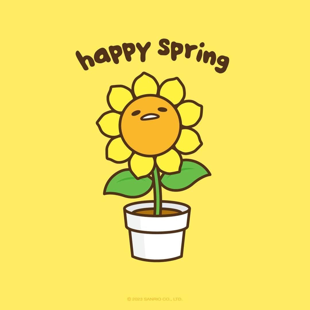 ぐでたまのインスタグラム：「happy #spring… 🌻」
