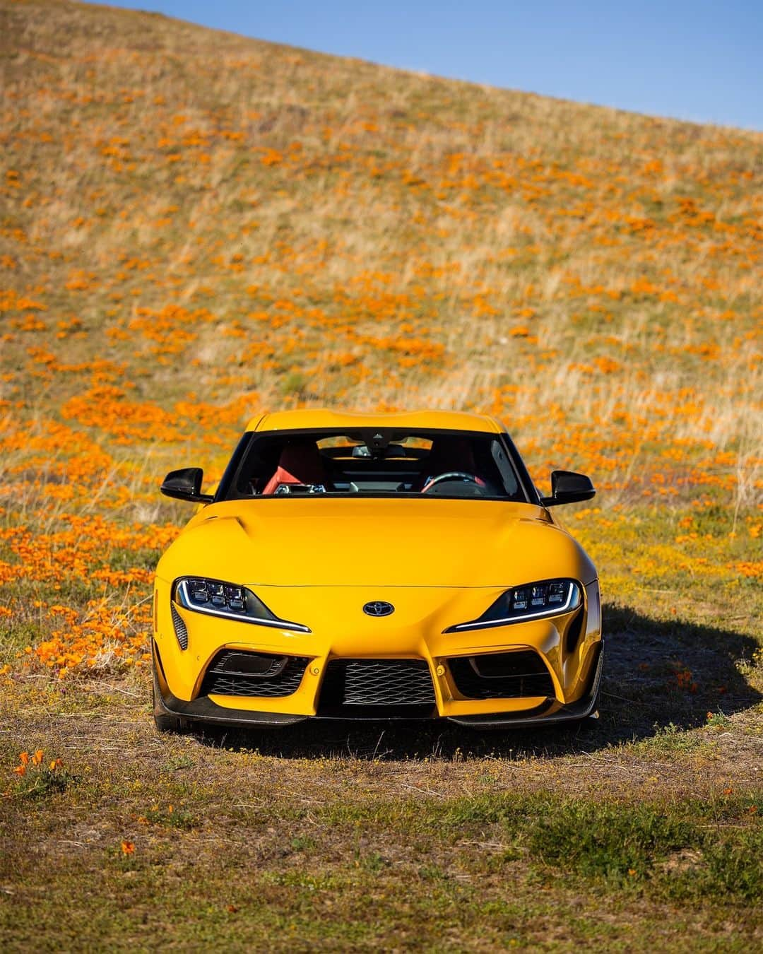 toyotausaさんのインスタグラム写真 - (toyotausaInstagram)「Spring is in session. #Supra #LetsGoPlaces 📸: @jesse.shoots」3月21日 1時10分 - toyotausa