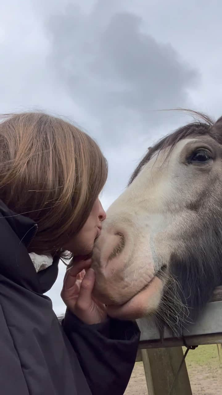 ガブリエル・アプリンのインスタグラム：「promoting my tune Anyway by sticking it on a video of me with an animal 🐴 🌝」