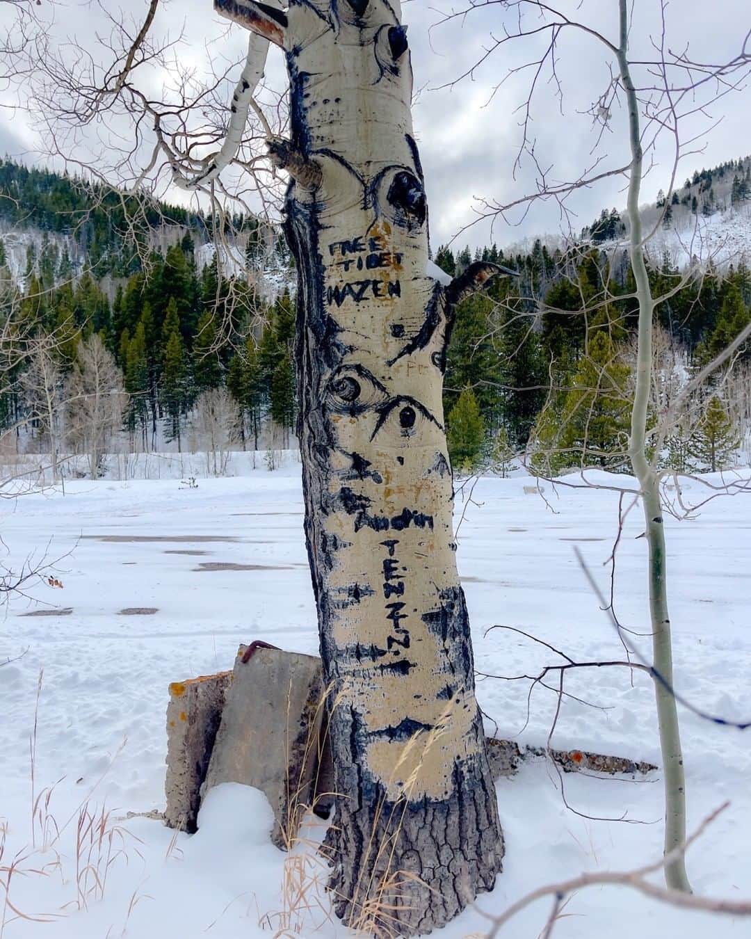 CIAさんのインスタグラム写真 - (CIAInstagram)「Tucked away in a high mountain valley in Colorado, between several popular ski resorts, is Camp Hale: the nation’s newest National Monument. Camp Hale was designated as a tribute to some very special #WWII heroes who helped create the very ski industry that thrives today throughout the Rocky Mountain region. It’s also home to one of America’s most chilly spy sites. During WWII, #10thmountaindivision soldiers and #OSS spies learned to fight on skis at Camp Hale, and later #CIA secretly trained Tibetan Freedom Fighters there. Now, as part of the @u.s.forestservice, you can visit Camp Hale yourself and walk the same terrain once traversed by soldiers and spies.  #americathebeautiful #spysites #camphale #nationalmonument #wintervacation #firstdayofspring #skiing #coloradogram #themountainsarecalling」3月21日 4時42分 - cia