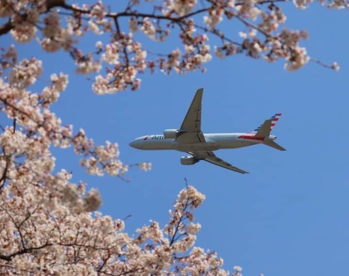 アメリカン航空のインスタグラム：「We have some spring in our step today. 😆🌸 🛫   📸: @happy.second」