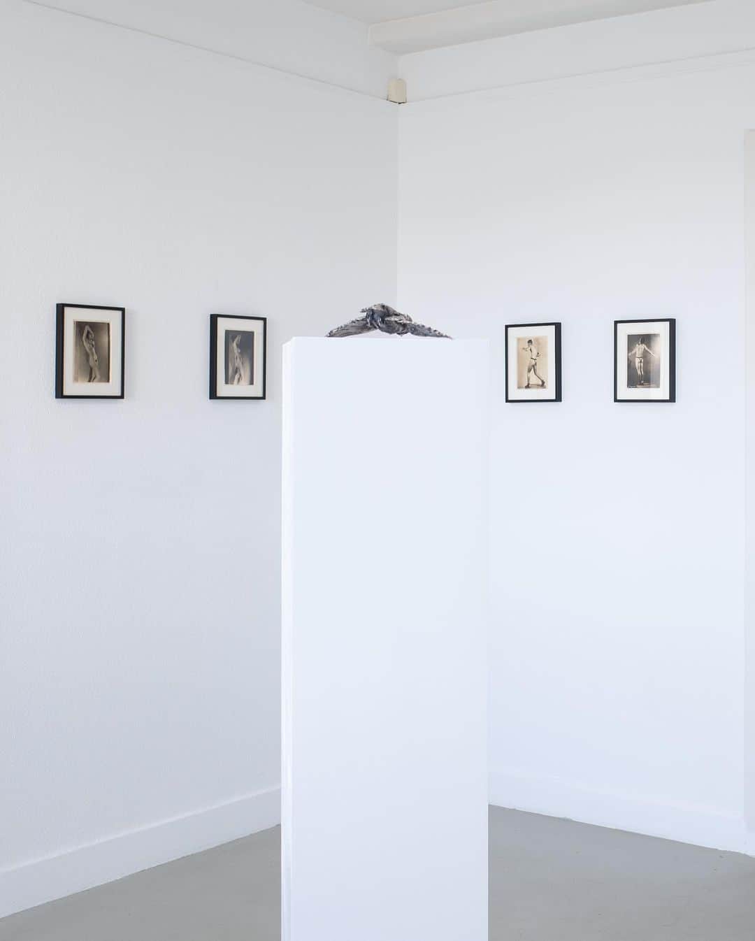 ユーリ・ポドラドチコフのインスタグラム：「Photos of the exhibition 𝘠𝘰𝘶'𝘳𝘦 𝘗𝘳𝘰𝘣𝘢𝘣𝘭𝘺 𝘙𝘪𝘨𝘩𝘵 @lighthauszurich.* Open Saturdays 2-6PM Rämistrasse 3 5th floor Until 22/04/23  *works by #ElioLuxardo –  (All b/w) Unknown title, circa 1930’s gelatin silver print Print size: 17.9x23.8cm Image size: 12.5x17.6cm)  by Iouri Podladtchikov (All 🩸) 𝘜𝘯𝘵𝘪𝘵𝘭𝘦𝘥 (𝘙𝘦𝘥 𝘕𝘶𝘥𝘦), 2021 Polaroid, 8.5x10.8cm Frame, 25.2x31.3cm  𝘸𝘢𝘳𝘣𝘭𝘦𝘳, 2023, silver, 22 x 15 × 6 cm, edition 2/5 plinth size: 24 x 24 x 160 cm」