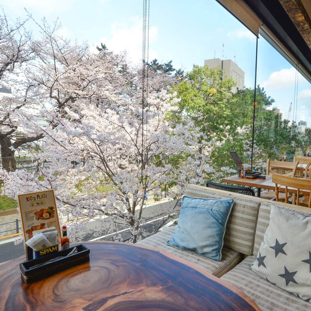 アロハテーブルさんのインスタグラム写真 - (アロハテーブルInstagram)「いよいよお花見シーズンですね。今回は桜が楽しめる店舗のご紹介します🌸  @alohatable_nakameguro 桜の名所・目黒川沿いにある中目黒店はテラス席から お花見ができます。 テイクアウトメニューもあるので、食べ歩きをしながら お花見を楽しむのもおすすめ！  @alohatable_iidabashi 建物の2階にある飯田橋店は、桜並木のお花と同じ高さにお席があるので、大迫力の桜を満喫できます。  こちらの2店舗では、期間限定のお花見セットや、 桜カクテルをご用意🤙🏻  ※すでに満席の日も出てきておりますので、 お早めのご予約がおすすめです。  @alohatable_waikiki  #アロハテーブル #alohatable  #ハワイ #hawaii  #ハワイナンバーワンロコモコ  #ハワイ好きな人と繋がりたい  #カフェ巡り #桜並木 #お花見 #お花見日和 #お花見スポット #お花見デート #zetton #中目黒カフェ #中目黒ランチ #中目黒ディナー #飯田橋カフェ #飯田橋ランチ #飯田橋ディナー」3月21日 7時00分 - alohatable_jp