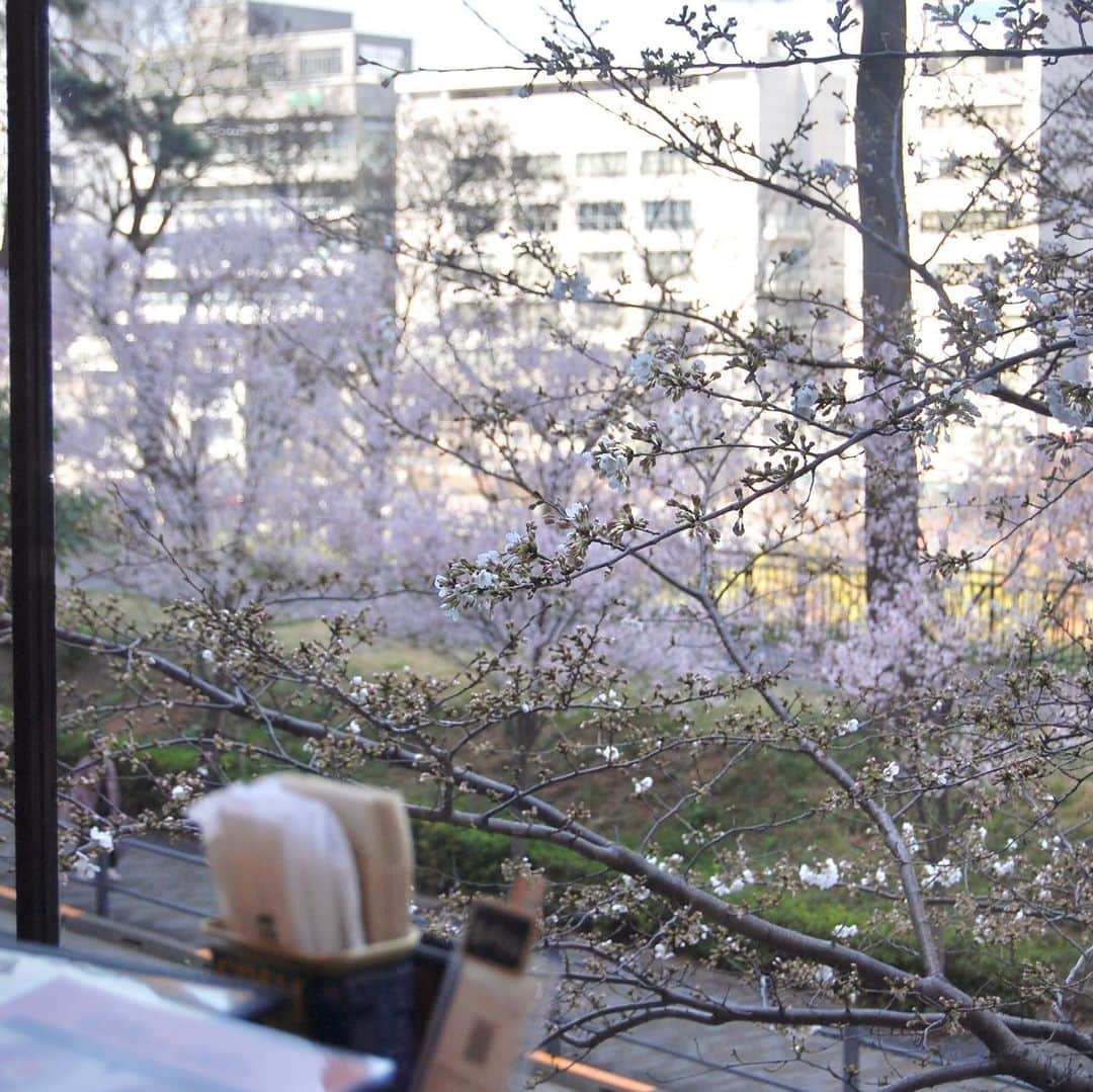 アロハテーブルさんのインスタグラム写真 - (アロハテーブルInstagram)「いよいよお花見シーズンですね。今回は桜が楽しめる店舗のご紹介します🌸  @alohatable_nakameguro 桜の名所・目黒川沿いにある中目黒店はテラス席から お花見ができます。 テイクアウトメニューもあるので、食べ歩きをしながら お花見を楽しむのもおすすめ！  @alohatable_iidabashi 建物の2階にある飯田橋店は、桜並木のお花と同じ高さにお席があるので、大迫力の桜を満喫できます。  こちらの2店舗では、期間限定のお花見セットや、 桜カクテルをご用意🤙🏻  ※すでに満席の日も出てきておりますので、 お早めのご予約がおすすめです。  @alohatable_waikiki  #アロハテーブル #alohatable  #ハワイ #hawaii  #ハワイナンバーワンロコモコ  #ハワイ好きな人と繋がりたい  #カフェ巡り #桜並木 #お花見 #お花見日和 #お花見スポット #お花見デート #zetton #中目黒カフェ #中目黒ランチ #中目黒ディナー #飯田橋カフェ #飯田橋ランチ #飯田橋ディナー」3月21日 7時00分 - alohatable_jp