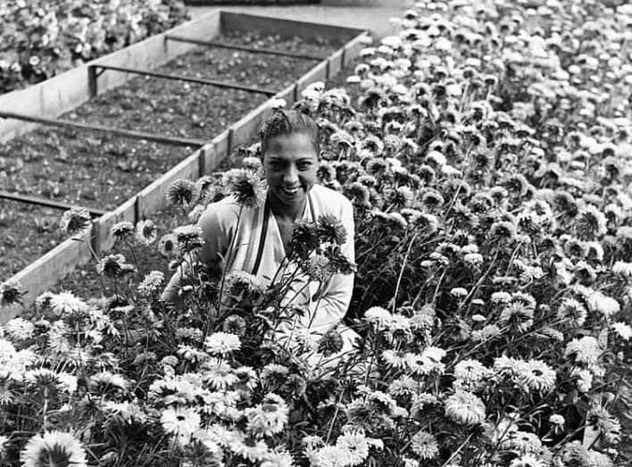 ティファニー・キャデラックのインスタグラム：「Welcome back Spring✿ We missed you so much🤍  Josephine Baker First Day Of Spring 1931, 1938」