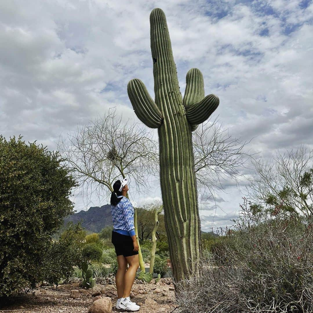 ユ・へランのインスタグラム：「너 키가 좀 많이 크다?  #🌵#Arizona」