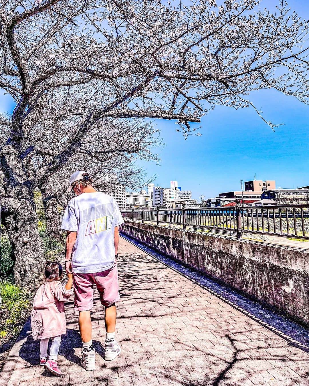 遠山雄也のインスタグラム：「. おはよう🥸 今日はサロン定休日💤 　 いい天気☀️ 桜🌸はまだ3分咲 　 　  　 　 #生後1006日 #女の子ベビー #パパと娘  #育児記録 #子供のいる暮らし #生後33ヶ月 #2歳9ヶ月」