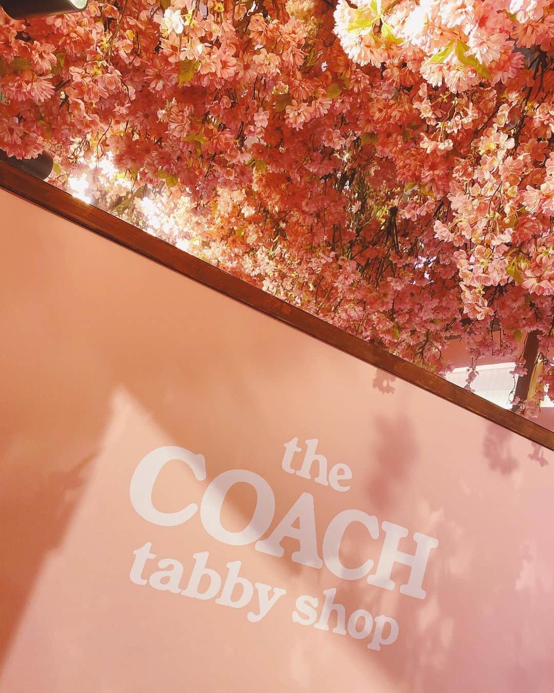 竹崎綾華さんのインスタグラム写真 - (竹崎綾華Instagram)「"the COACH tabby shop"遊びに行きました。 @haru2n.run と一足お先にプチお花見🌸🍡 可愛すぎました🫰桜の満開時期はもうすぐかな？😙 楽しみです🌸  今日は2023年の中で1番運気が良い日だそうですね💛💜💛💜たまたまお財布も修理に出さなきゃと思っていたので ちゃっかり新しいお財布を新調しました✌️😋（単純）  皆さんは今日何をして過ごしますか？ 今日も皆様が素敵な一日になりますように❣️🌈  #コーチタビー #InMyTabby #CoachJapan #🌸　 #佐々木晴花 #竹崎綾華」3月21日 7時54分 - takezaki_ayaka