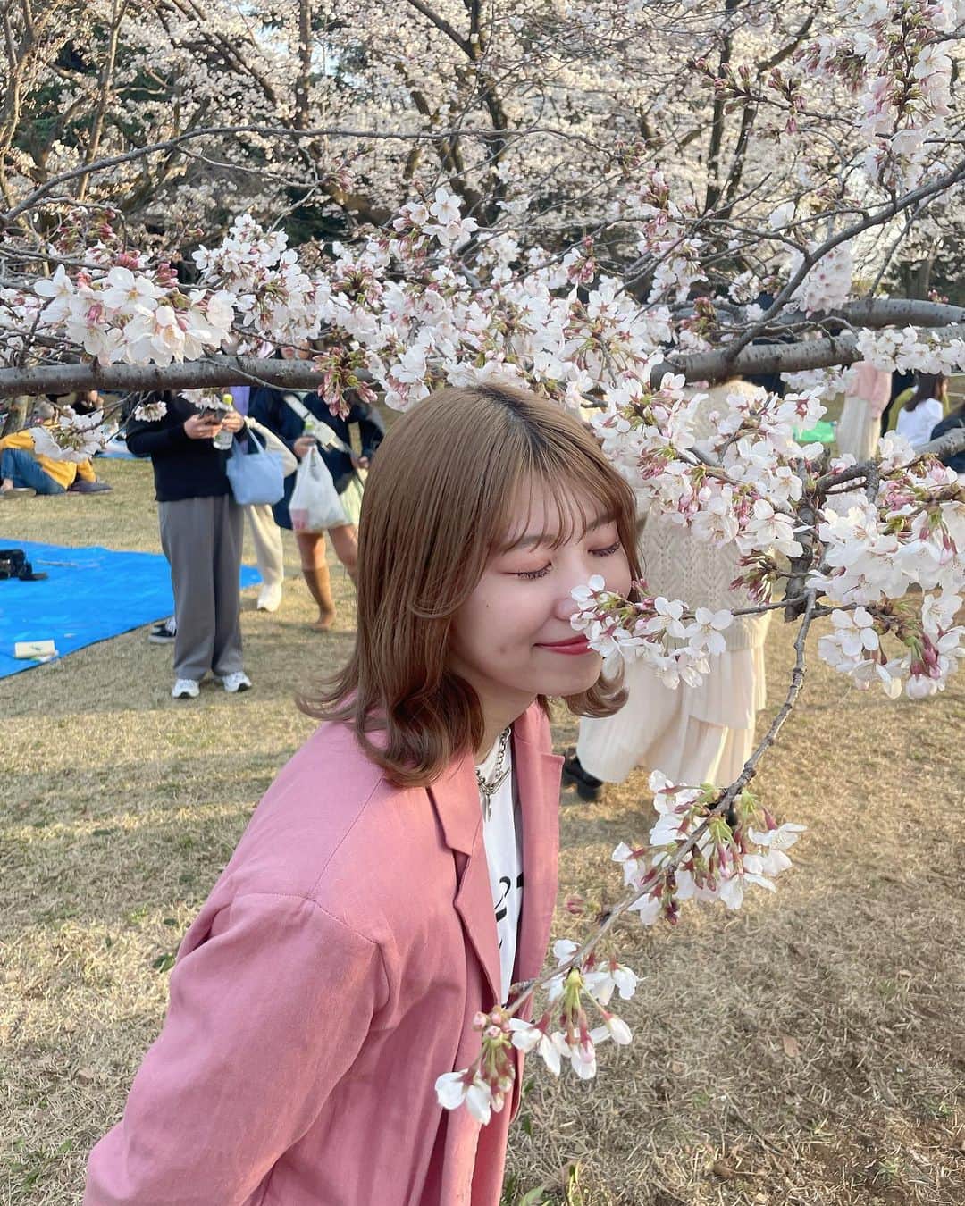小林紗良のインスタグラム：「イメチェン🌸」