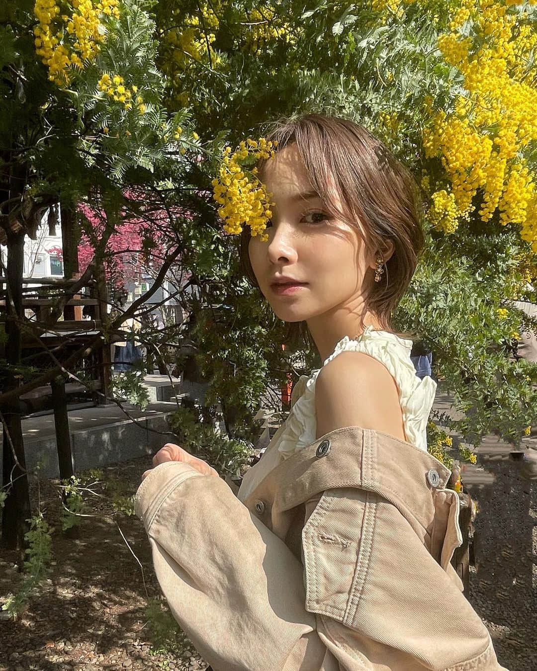 黒澤詩音さんのインスタグラム写真 - (黒澤詩音Instagram)「春爛漫！  親友たちから、私の心を明るくする贈り物をいただきました。 ミモザも、桜も、かすみ草も。 私の背中を押す木花たち。  ゴッホの絵画からアルルに憧れのある私は、ついに今年プロヴァンスのミモザを入手。大切な日に植えました。 ベランダ栽培…うまくいきますように！ 再来年には花をつけるかな？。  春になると、ふらふらとお散歩をするのが毎年の楽しみ。桜を探して遠回りをしてゆっくり歩く帰り道が好きです。 今年もそんな時間を過ごしたいと思っています。  茨木のり子さんの さくらという詩をこの季節になると頭の中でなぞるのですが、 この春は特に何度も想起しています。  最後の一節が、特に美しくも儚くて素敵なので興味のある方は是非調べてみてもらえたら嬉しいです。  侍ジャパンの勝利にも勇気づけられ、 明日からもまた、お仕事頑張ります！  #春爛漫 #春  #花 #春の花 #春の訪れ」3月21日 17時36分 - shionkurosawa_official