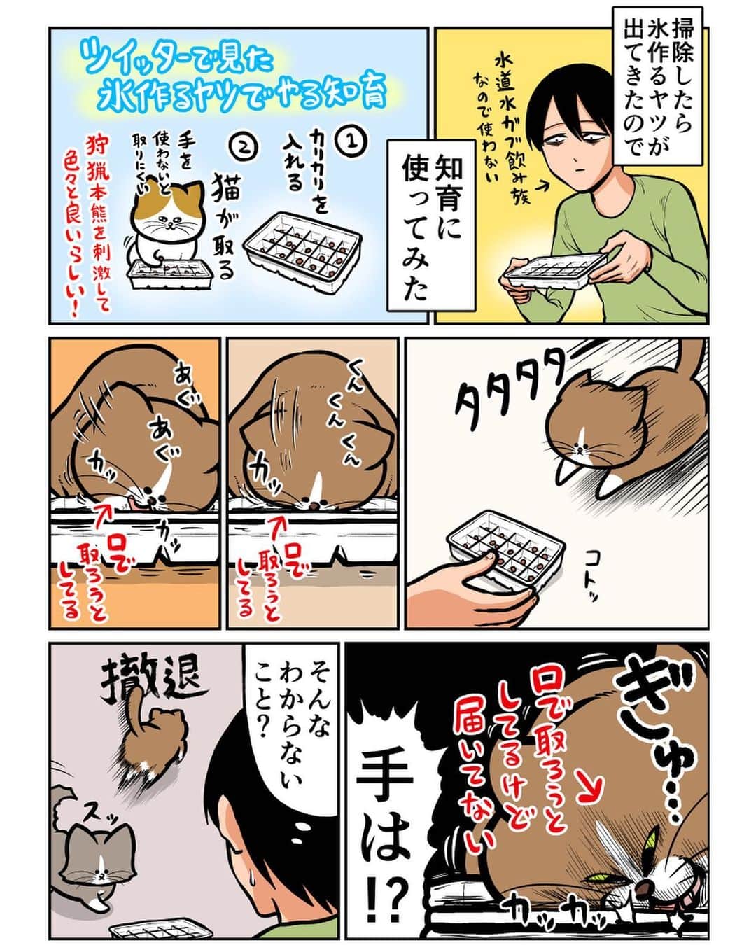 鴻池剛さんのインスタグラム写真 - (鴻池剛Instagram)「猫もパクる #猫漫画」3月21日 17時41分 - tsuyoshiwood
