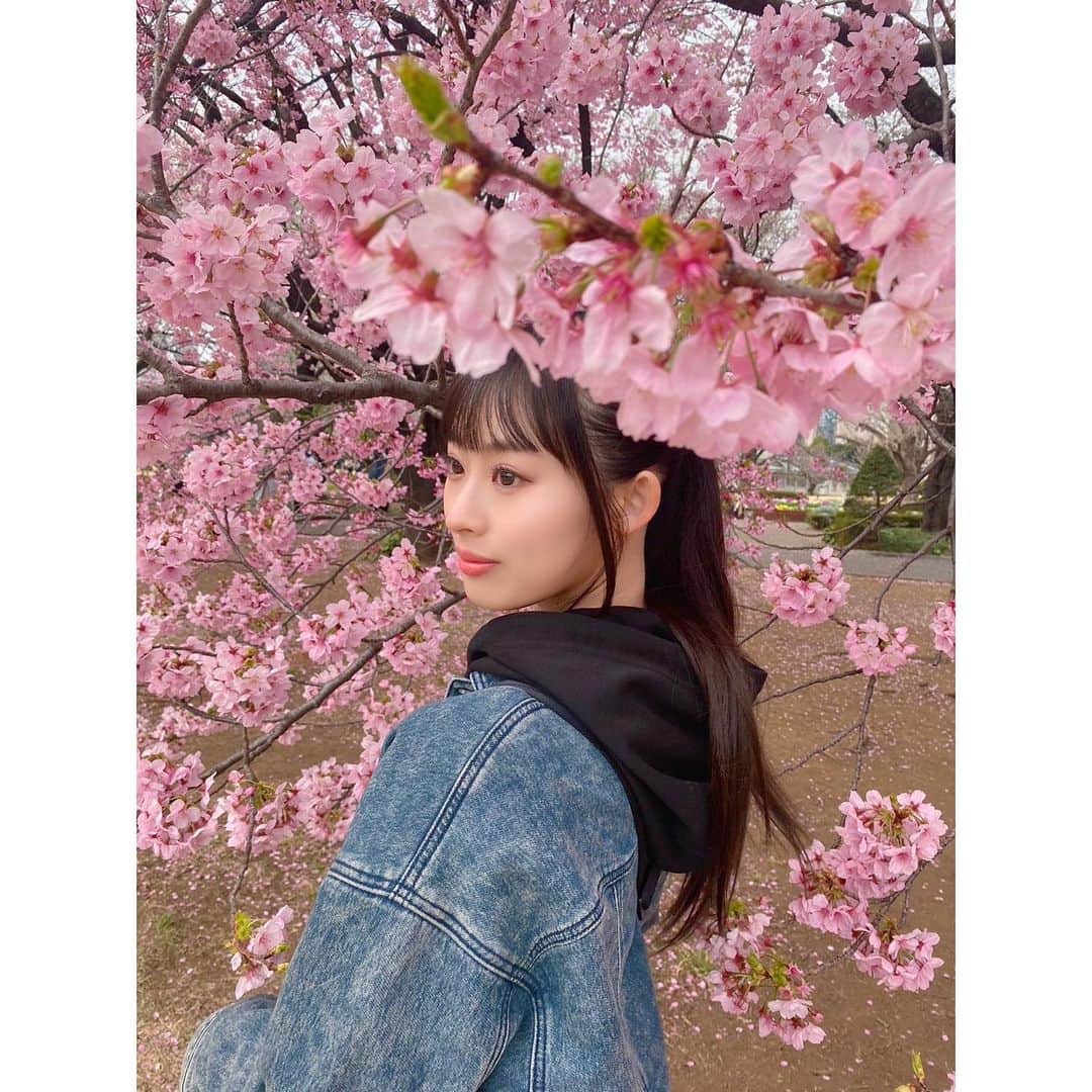 井本彩花さんのインスタグラム写真 - (井本彩花Instagram)「．  🌸🌸🌸  最近暖かくなってきましたね。 本日 春分の日を境に 夏に向けて日中が長くなっていくそうです☀️ ((ネット情報  桜って美しいですよね。 桜の花言葉、この機会に調べて見てください😌  満開の桜も素敵だけど、 桜吹雪のような 花びらが舞い落ちる描写が儚くて好きです。  満開を迎える頃なのに天気が心配だ〜🥲」3月21日 17時50分 - imoto_ayaka_official