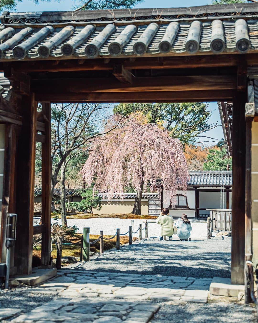 Sonoda COO Yukiyaさんのインスタグラム写真 - (Sonoda COO YukiyaInstagram)「@coo_travelphoto ←Check photos ! Spring days in Kyoto. #Kyoto #kyototravel #Kyototrip」3月21日 17時54分 - coo_travelphoto