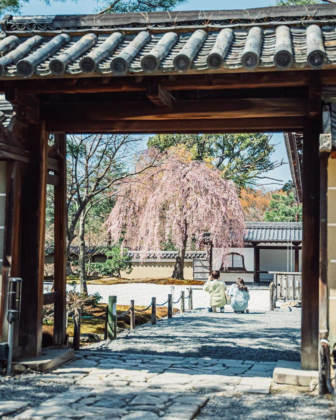 Sonoda COO Yukiyaのインスタグラム：「@coo_travelphoto ←Check photos ! Spring days in Kyoto. #Kyoto #kyototravel #Kyototrip」