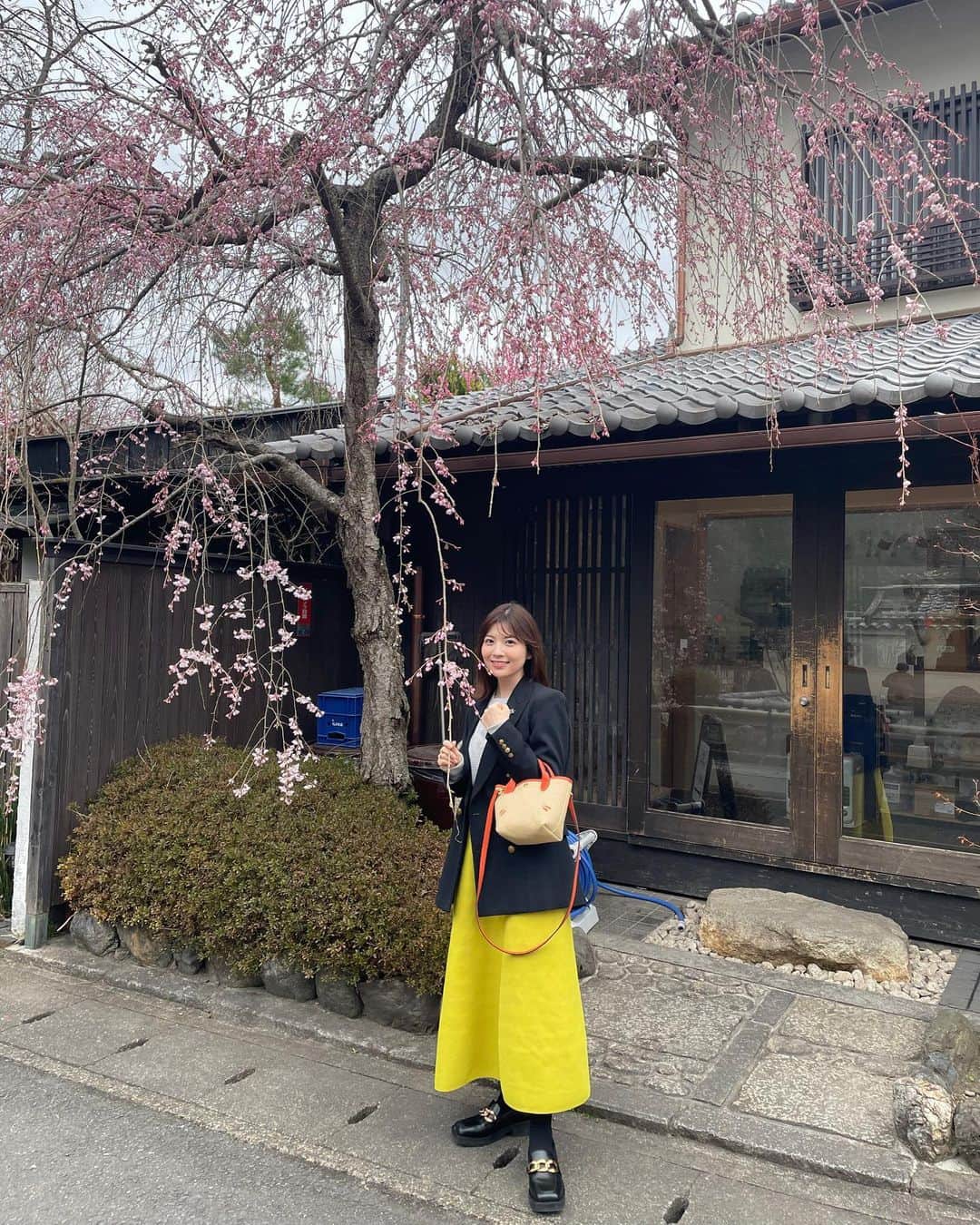 佐藤真知子のインスタグラム：「🌸 日本全国から桜の便りが届いていますね🌸  皆さんは満喫できていますか？😌 東京はもうすぐ満開かなぁ、、  #cherryblossom  #kyoto」