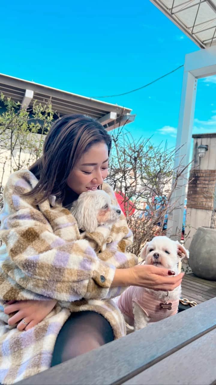 七菜香のグルメインスタ