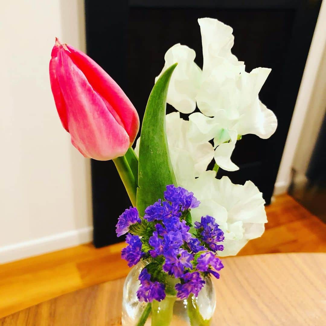田野辺実鈴のインスタグラム：「可愛いっ💓さいこー🌷 #今日のお花 #今日のいけばな #今日の生け花 #チューリップの生け花 #花瓶いけ  #お花のあるくらし #お花のある生活 #理鈴」