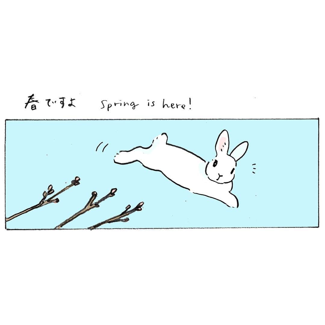 森山標子(しなこ)/Schinakoのインスタグラム：「Spring is here!💠 春ですよ🐇☁　#春分の日  うさぎさんの愛しさをいろんな空想で表した4コマ本🐇☁️ 「うさぎ雲といっしょに」KADOKAWAから3/29に発売です📚 https://www.kadokawa.co.jp/product/322210000654/  Amazonでは特典付きです📱 https://amzn.asia/d/7ujJ6cg」