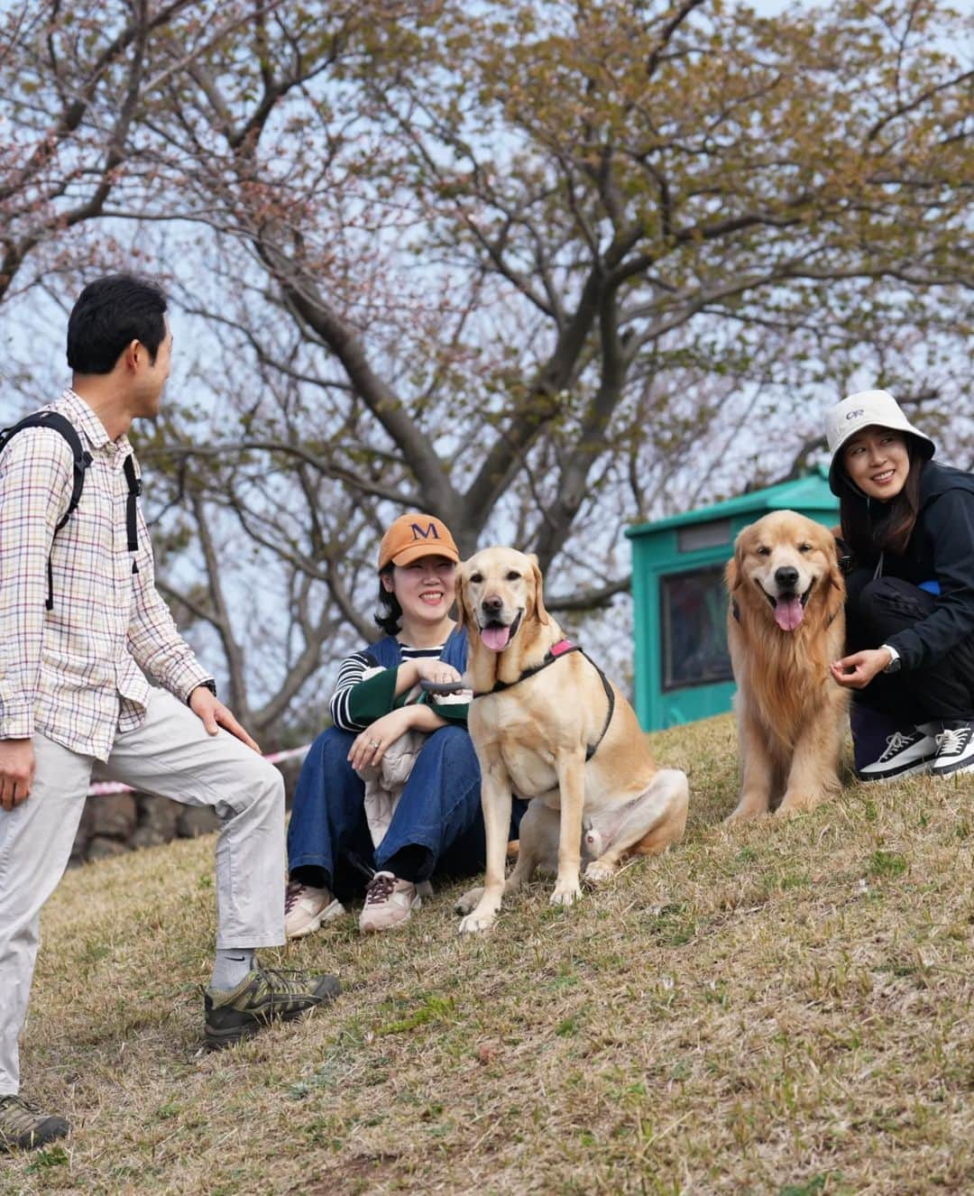 ムン・ジョンヒさんのインスタグラム写真 - (ムン・ジョンヒInstagram)「#마누 #manu #benny #베니 #제주 #친구 #동갑내기 #5살 #라브라도리트리버 #골든리트리버 #봄맞이 #산책  작년봄에 만나고 일년만에 친구랑 봄맞이 산책♡♡반갑고 즐거운시간!  @happylab_benny  @benny_daddy_」3月21日 9時53分 - jeonghee_moon