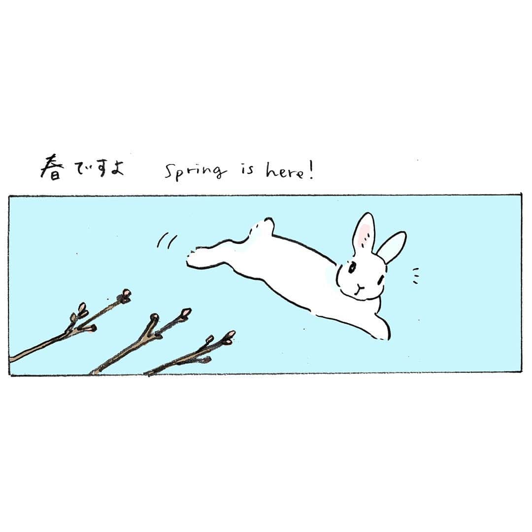 森山標子(しなこ)/Schinakoさんのインスタグラム写真 - (森山標子(しなこ)/SchinakoInstagram)「Spring is here!💠 春ですよ🐇☁　#春分の日  うさぎさんの愛しさをいろんな空想で表した4コマ本🐇☁️ 「うさぎ雲といっしょに」KADOKAWAから3/29に発売です📚 https://www.kadokawa.co.jp/product/322210000654/  Amazonでは特典付きです📱 https://amzn.asia/d/7ujJ6cg」3月21日 9時58分 - schinako