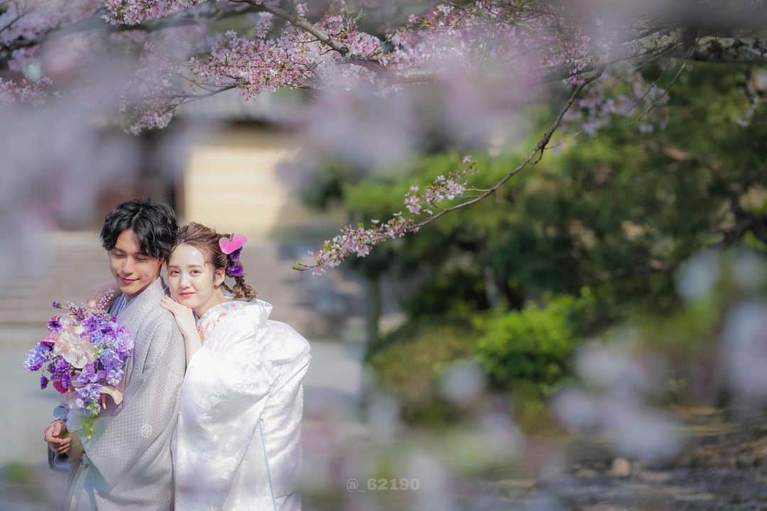 西村映美さんのインスタグラム写真 - (西村映美Instagram)「昨年の桜の下での和装データ🌸  ※お仕事です。現在の髪型はボブになりますのでご注意ください  #関西サロモ #サロンモデル」3月21日 11時00分 - _62190